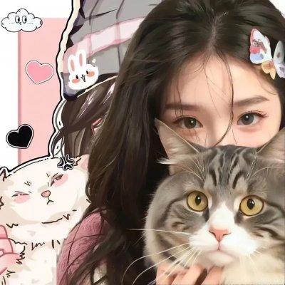 吉林卫视春节联欢晚会2026